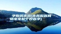 燚字取名吉凶(吉名起名网给宝宝起个好名字)