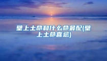 壁上土命和什么命最配(壁上土命喜忌)