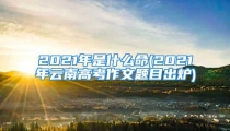 2021年是什么命(2021年云南高考作文题目出炉)