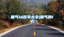 霸气id名字大全(霸气的id)