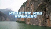 癸亥日生于寅时 癸亥日寅时生命运好吗
