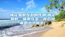 梅花易数互卦的作用(梅花易数“体用互变”背后隐藏的小小秘密)