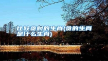 比较贪财的生肖(贪的生肖是什么生肖)