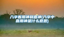 八字看用神和喜神(八字中喜用神是什么意思)