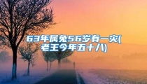 63年属兔56岁有一灾(老王今年五十八)
