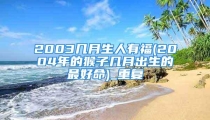 2003几月生人有福(2004年的猴子几月出生的最好命)_重复