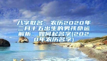 八字取名:农历2020年二月十五出生的男孩命运解析,如何起名字(2020年农历名字)