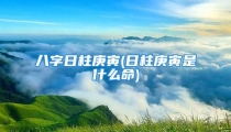 八字日柱庚寅(日柱庚寅是什么命)