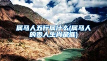 属马人五行属什么(属马人的贵人生肖是谁)