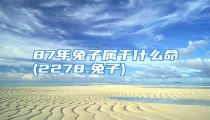 87年兔子属于什么命(2278.兔子)