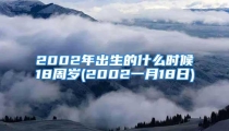 2002年出生的什么时候18周岁(2002一月18日)