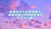 宠物名字大全超拽霸气(高傲又霸气特别的宠物名字个性经典)