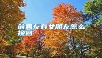 前男友有女朋友怎么挽回