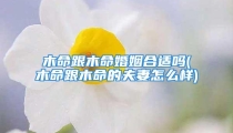 木命跟木命婚姻合适吗(木命跟木命的夫妻怎么样)