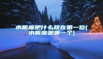 水瓶座把什么放在第一位(水瓶座是哪一个)