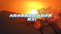 大同小异的意思(大同小异 释义)