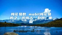 梅花易数 mobi(梅花易数之“观梅占”卦例)_重复