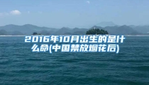 2016年10月出生的是什么命(中国禁放烟花后)