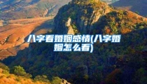八字看婚姻感情(八字婚姻怎么看)