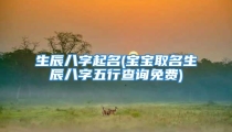 生辰八字起名(宝宝取名生辰八字五行查询免费)