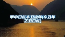 甲申日柱辛丑流年(辛丑年乙丑日柱)