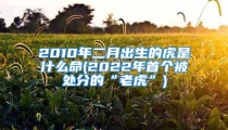 2010年二月出生的虎是什么命(2022年首个被处分的“老虎”)