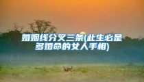 婚姻线分叉三条(此生必是多婚命的女人手相)