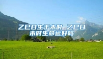 乙巳日生于未时 乙巳日未时生命运好吗