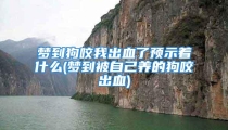 梦到狗咬我出血了预示着什么(梦到被自己养的狗咬出血)