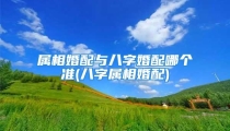 属相婚配与八字婚配哪个准(八字属相婚配)