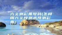 六爻测彩票号码(怎样用六爻预测术预测彩票)