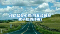 梅花易数心得(河北故城县张半仙的传说)