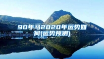 90年马2020年运势如何(运势预测)