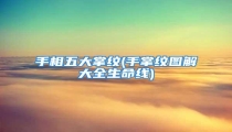 手相五大掌纹(手掌纹图解大全生命线)
