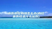 食伤财旺身弱怎么办(身旺食伤旺走什么运好)