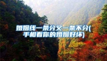 婚姻线一条分叉一条不分(手相看你的婚姻好坏)
