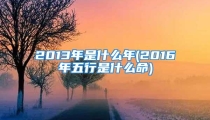 2013年是什么年(2016年五行是什么命)