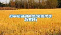 彪字起名的寓意(笔画代表的五行)