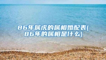 86年属虎的属相婚配表(86年的属相是什么)