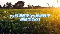 yy频道名字(yy频道名字颜色怎么改)