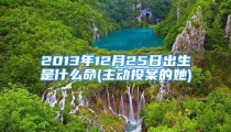 2013年12月25日出生是什么命(主动投案的她)