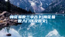 梅花易数三字占卜(梅花易数入门以及原文)