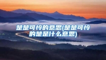 楚楚可怜的意思(楚楚可怜的楚是什么意思)