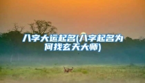 八字大运起名(八字起名为何找玄天大师)