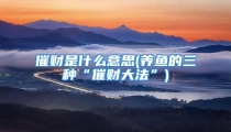 催财是什么意思(养鱼的三种“催财大法”)