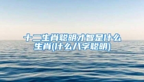 十二生肖聪明才智是什么生肖(什么八字聪明)