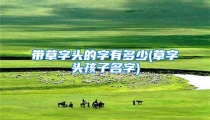 带草字头的字有多少(草字头孩子名字)