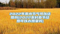 2022年雨水节气可以结婚吗(2022农村春节结婚可以办婚宴吗)