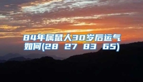 84年属鼠人30岁后运气如何(28 27 83 65)