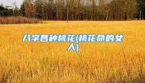 八字各种桃花(桃花命的女人)